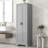 Storage Cabinet With Two Doors