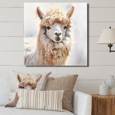 " Graceful Alpaca II "