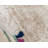 Brandt Floral Area Rug-1802233245-1810123639