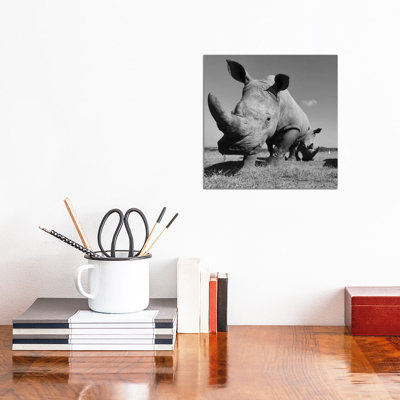 " White Rhino " by Elmar Weiss