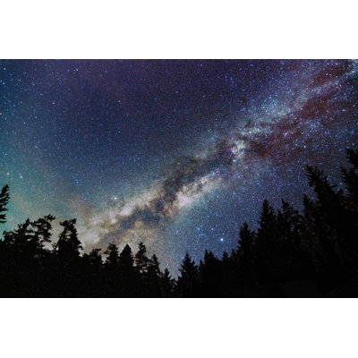 Prunedale Milky Way Galaxy, Starry Sky With Trees. Starry Night. by Allexxandar - Wrapped Canvas Print