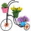 Angol Plant Stand