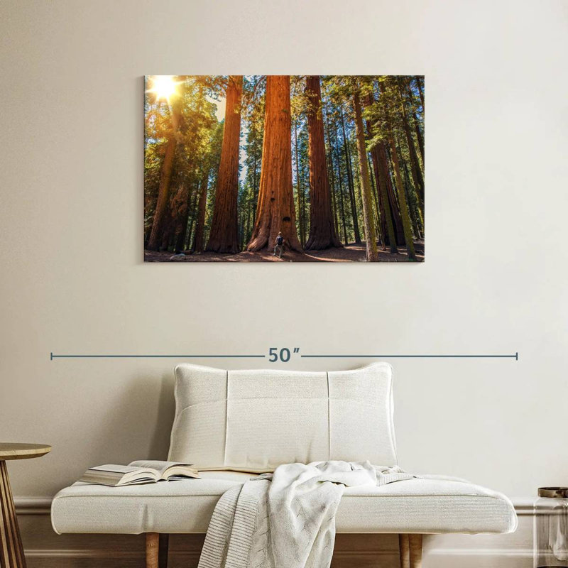 Harnek Giant Sequoia Trees, 24" H x 36" W