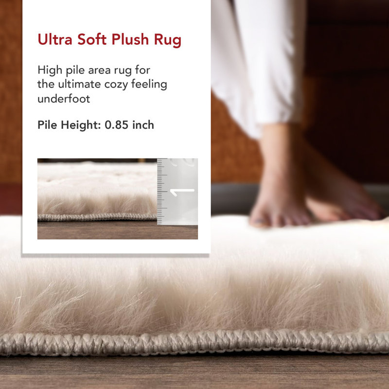 Tapis lavable à la machine Nia, Rectangle de 5 pi x 8 pi