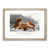 Oak Framed