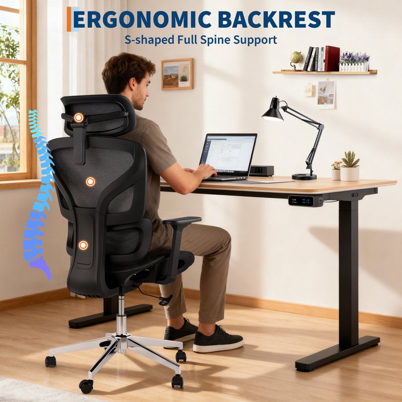 Brayden Studio Office Chair, Black