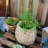 Nairobi Pot Planter-90825265