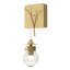 Kiwi 1 - Light Armed Sconce-679783621