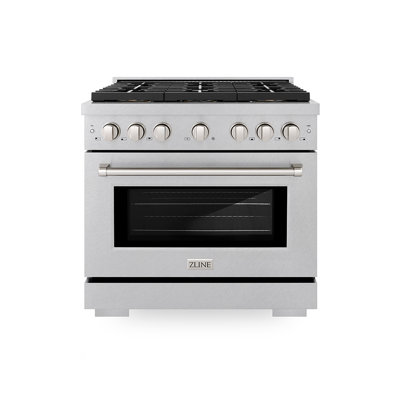 ZLINE 30 in. 4.2 cu. ft. Paramount Dual Fuel Range W/ 4 Burner DuoPro Cooktop and Electric Convection Oven in Satin Stainless Steel