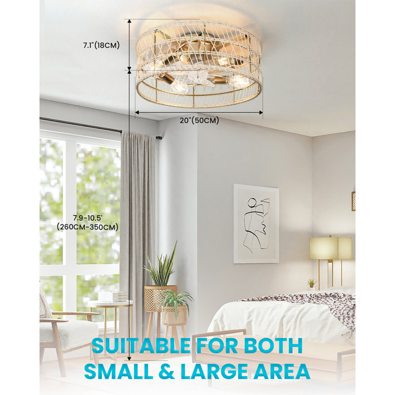 Ceiling Fan