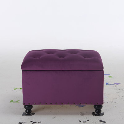 Dhiren 23.6" W Rectangle Upholstered Storage Ottoman