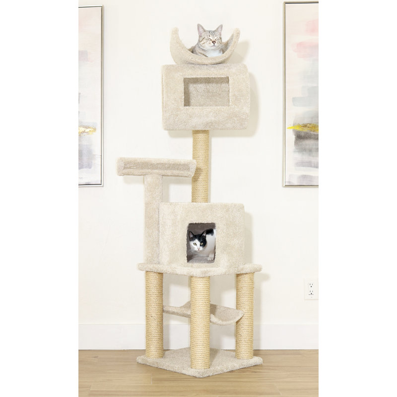 New Cat Condos