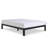 Purple Modern Adjustable Metal Mattress Foundation Platform Bed Frame with Heavy-Duty Steel Slats & Adjustable Height Legs-126450680