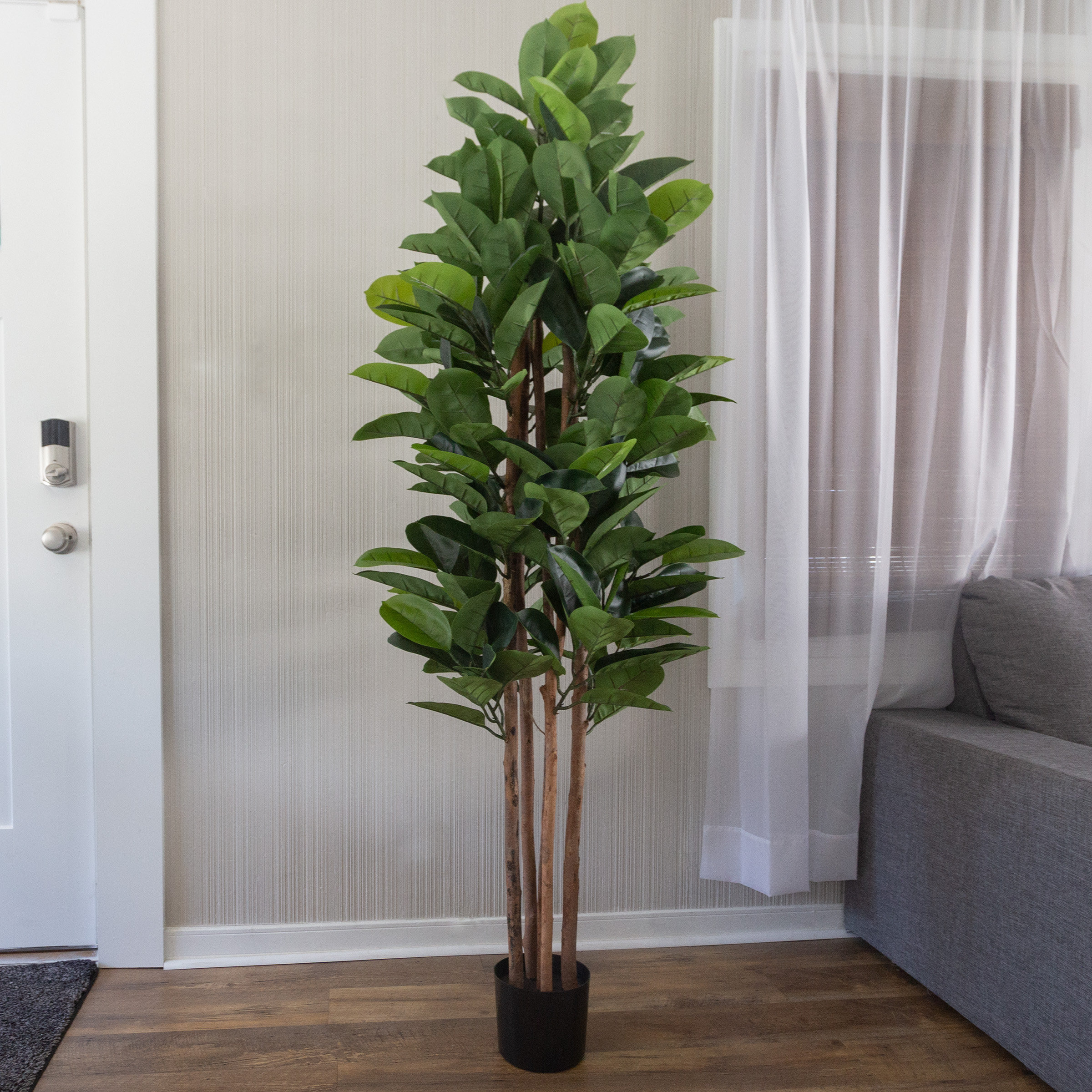 Primrue Artificial Rubber Plant 70Inch Faux Tree with NaturalFeel
