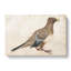 Pigeon by Katsushika Hokusai - Wrapped Canvas-55324947