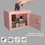 Coffre-fort de sécurité à clé et à combinaison, coffre-fort compact de 0,23 pied cube, idéal pour un usage domestique, pour ranger de l'argent et des documents, rose