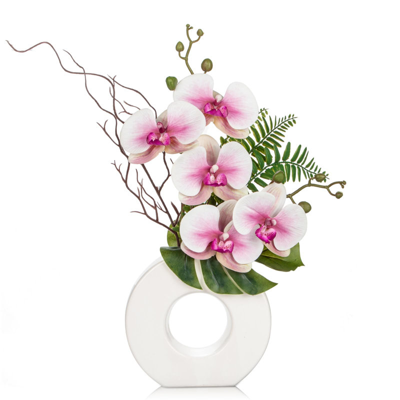 Caneshia Arrangement