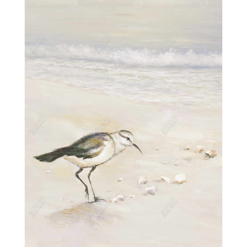 Semipalmated Sandpiper Canvas - Beach Home Decor Art