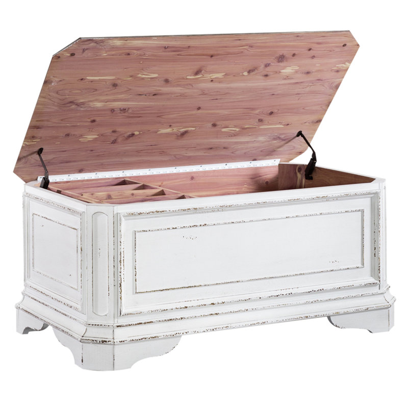 Coffre de rangement Colchester avec plateau amovible
