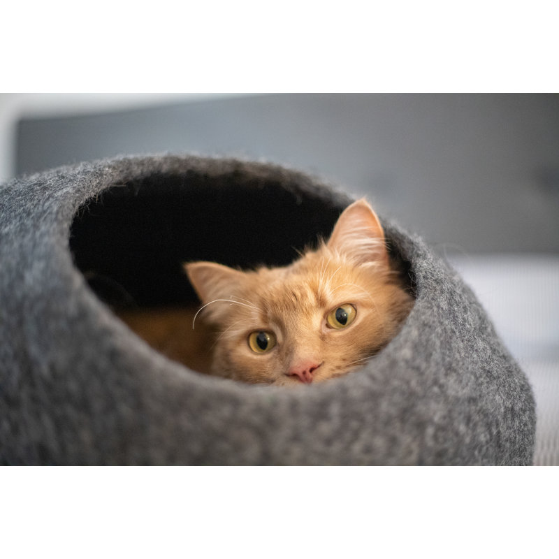 Langton Wool Nest Pet Bed, Dark Gray