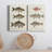 " Species Of Antique Fish I " 2 - Pieces Painting Print-1258593554