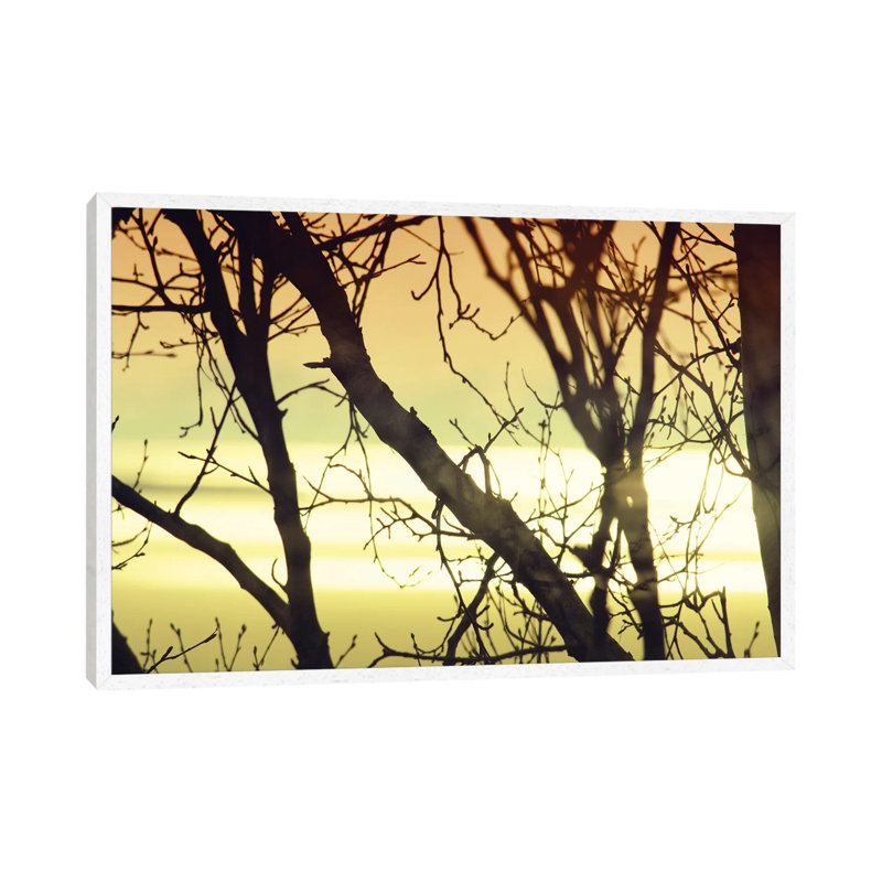 Aspen Sunset I by Savanah Plank - Gallery-Wrapped Canvas Giclée on Canvas, 101.6 cm H x 66.04 cm W, White Framed