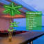 72'' Faux Palm Tree in Freestanding