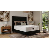 Timeless Mountain Air Cushion Firm Innerspring Mattress