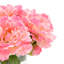 Peonies Arranged in Glass Vase-1080093595