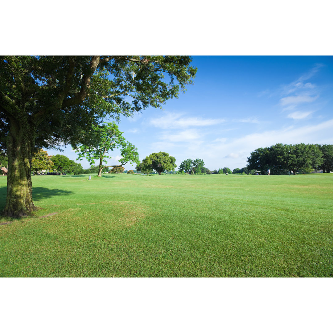 Golf Fields von Apomares - Kunstdrucke auf Leinwand ohne Rahmen