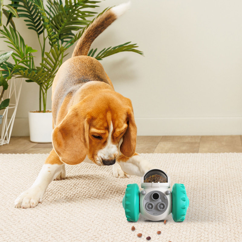 Hybrid Feeder/Toy
