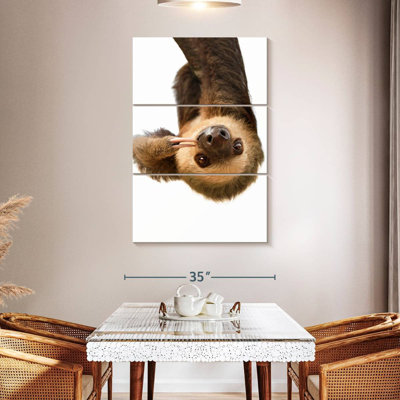 Silly Sloth