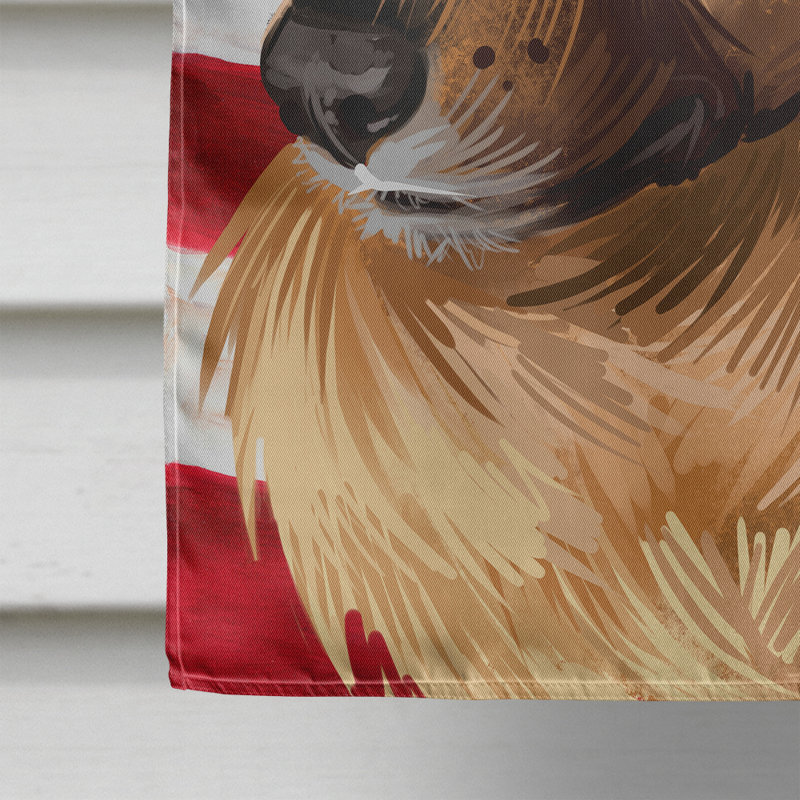 Polyester à 2 côtés 28 x 40 po drapeau maison, Chien de Garafia
