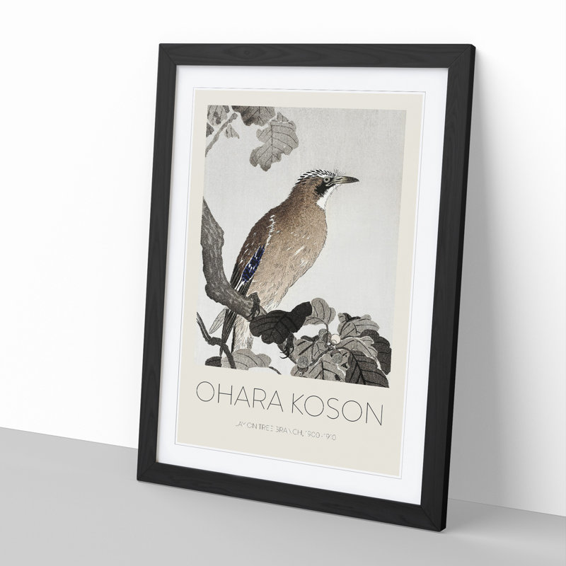 Jay on a Tree Branch by Ohara Koson - Picture Frame Art Prints, Black Framed, 48cm H x 36cm W x 2cm D