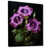 Black Picture Framed n'est pas disponible