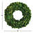 Alby Boxwood Wreath-290982463