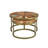 Cariana Solid Wood Top Nesting Coffee Table-169293177