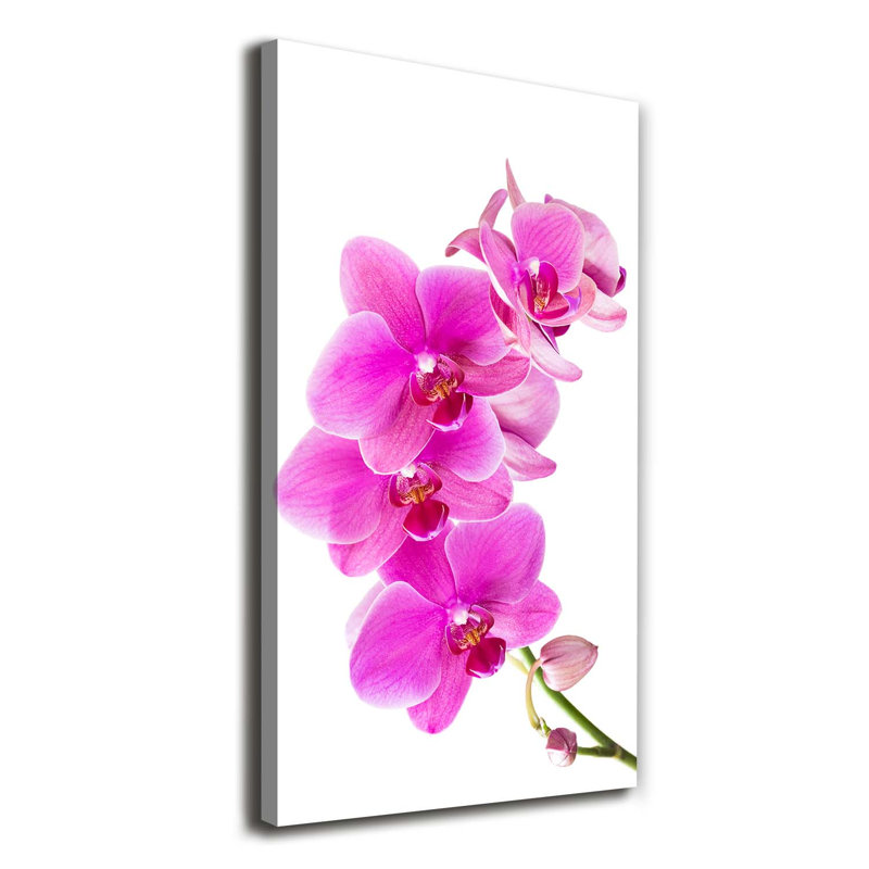 Pink Orchid - Wrapped Canvas Print