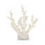 Statue décorative corail sur base de verre pour décoration intérieure - Figurine parfaite pour les décorations de salon - 14 po, blanc