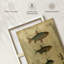 Poissons, composition I-132991889