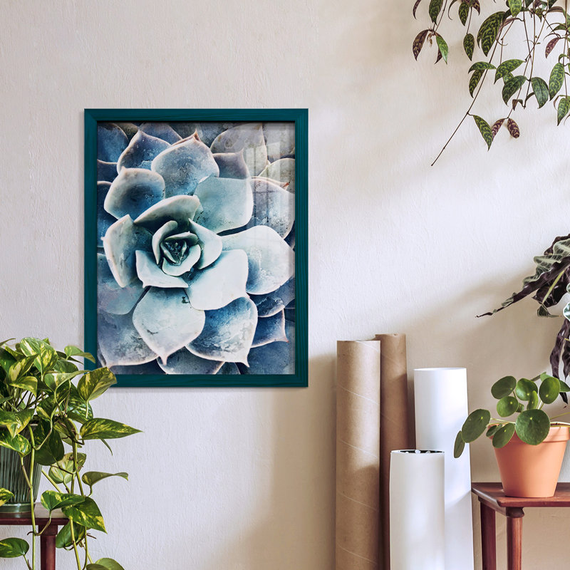 Pastel Succulent Beauty III, encadré sur papier, H 15 po x l 12 po x P 1 po, Bleu