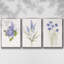 Ensemble de 3 cadres flottants sur toile-97754224-97754218