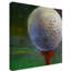 «Golf Ball Centered» par Galan, reproduction de peinture acrylique sur toile tendue-30363373