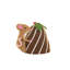 Souris brune