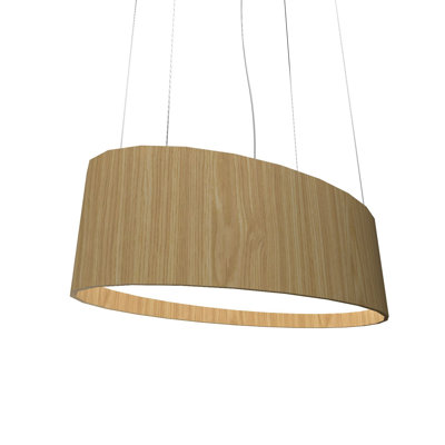 1 - Light LED Unique/Statement Pendant