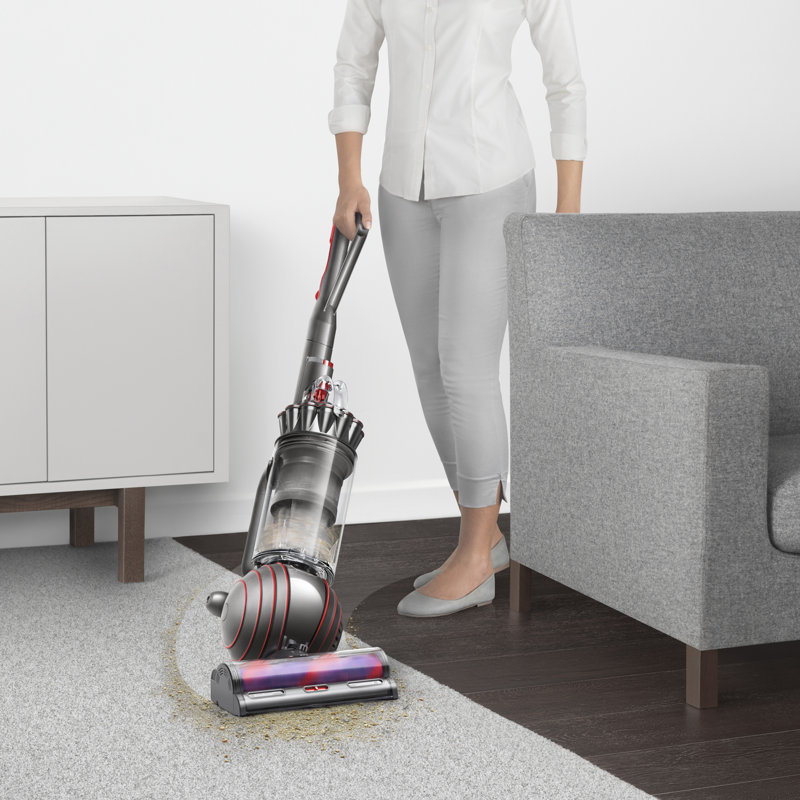 Dyson Ball Animal 3 Upright Vacuum