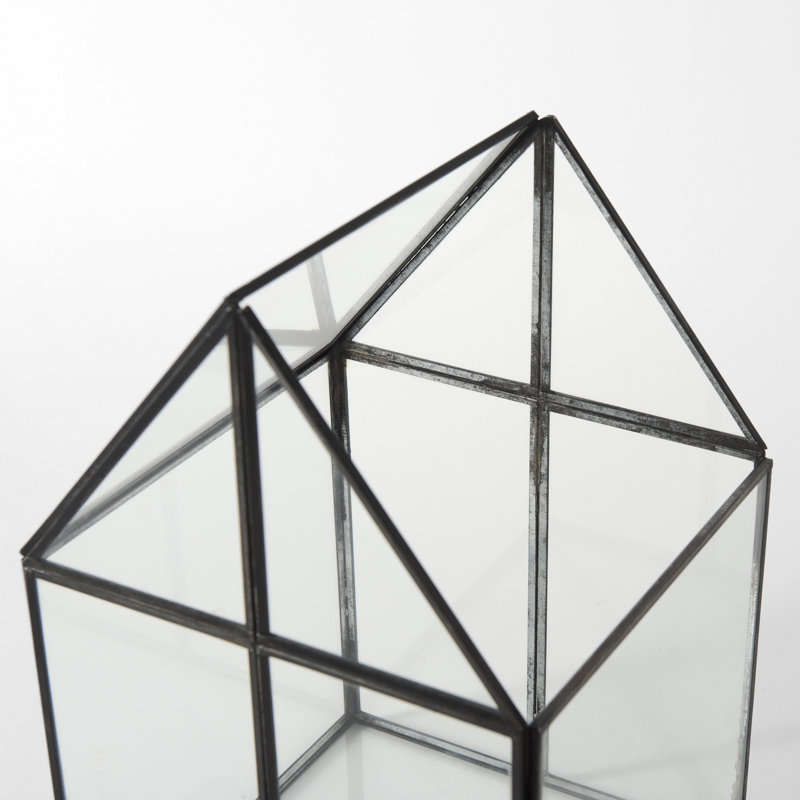 Terrarium en verre Navin, H 13 po x l 7,9 po x P 7,9 po