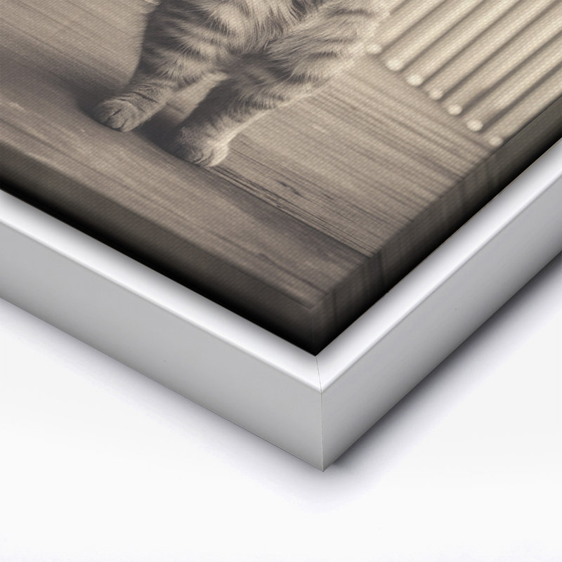 Chat jouant de la guitare No2, 18"H x 24"W, Canvas, White Framed