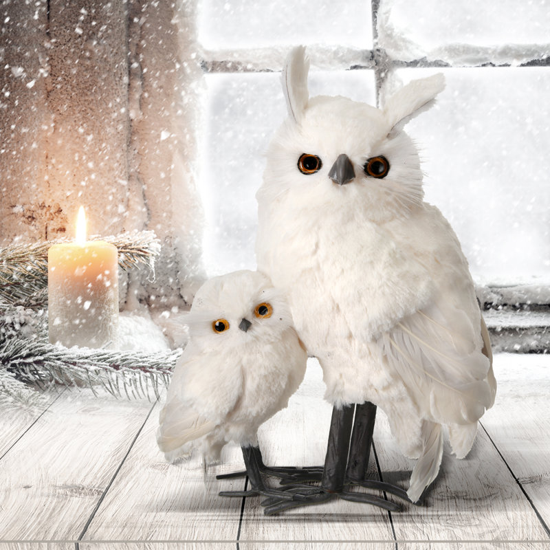 Hibou à fourrure avec bébé