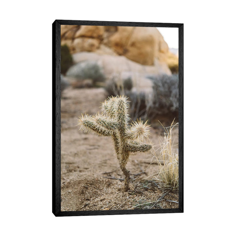 Joshua Tree National Park XVI by Bethany Young - Print on Canvas, 66.04cm H x 45.72cm W x 3.81cm D, Black Framed